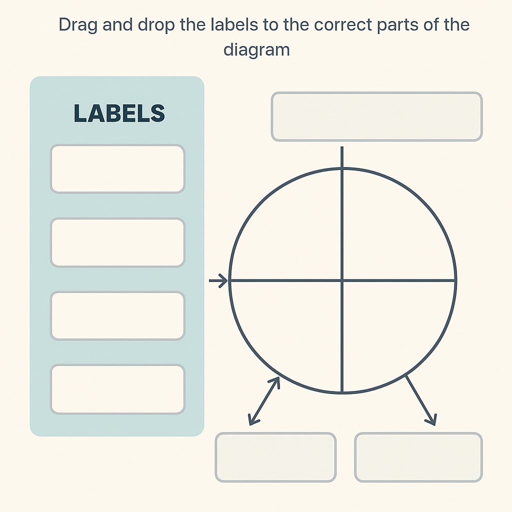 Canva digital files for educational resources