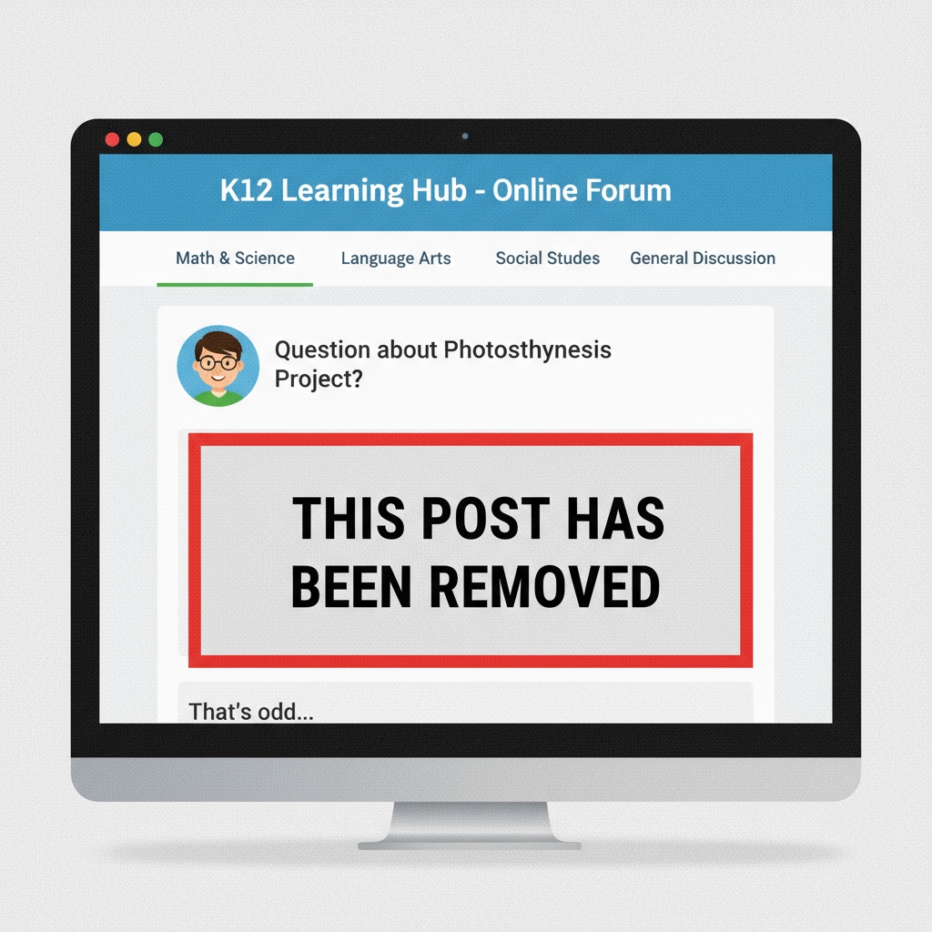 A screenshot of a K12 education forum shows a post that has been removed, with no indication or explanation of why it was taken down. A K12 education forum screenshot depicting post removal without explanation